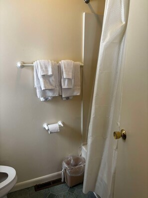 Ein Badezimmer mit Toilette, einer kleinen Mülltonne, einem Handtuchhalter mit gefalteten Handtüchern und einer Duschvorhang.