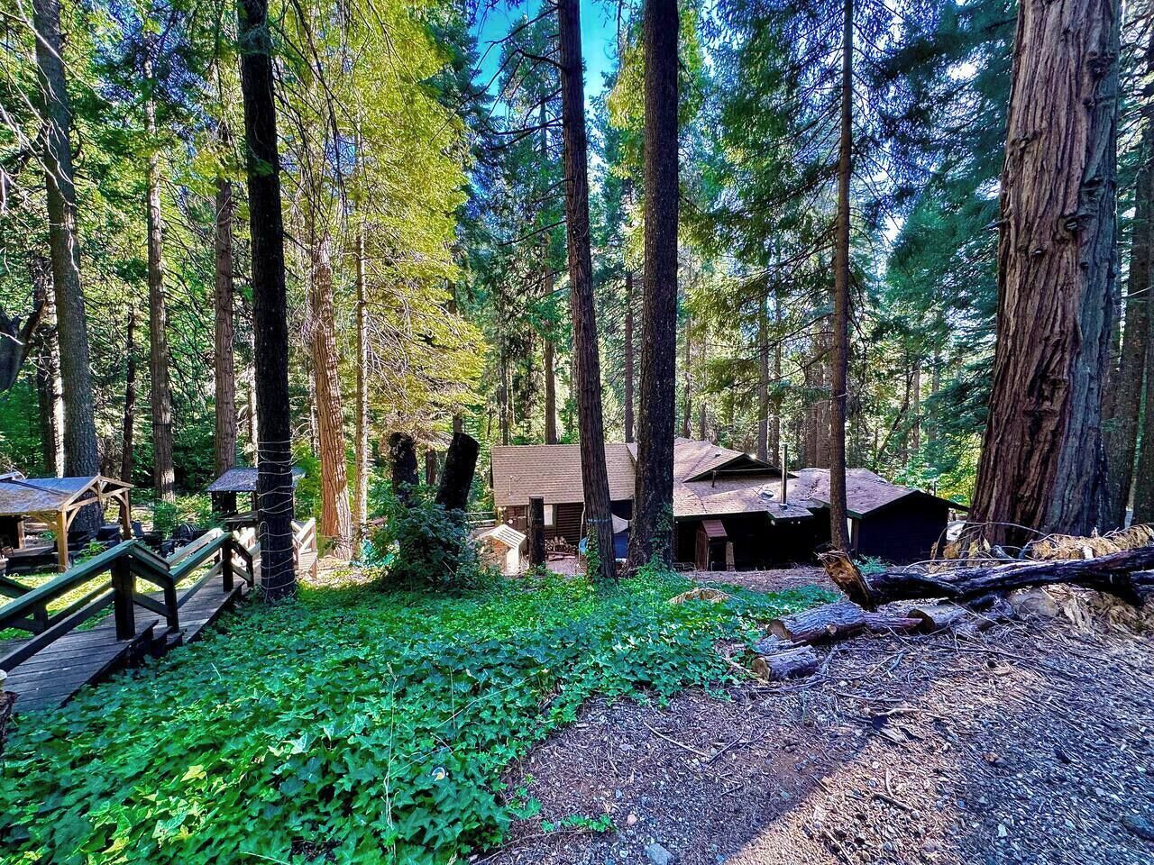 A forested area with wooden structures, including a cabin and a small building, surrounded by tall trees and a wooden deck.