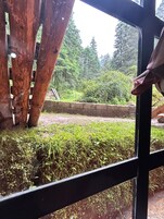 Family Room, Patio | Property grounds