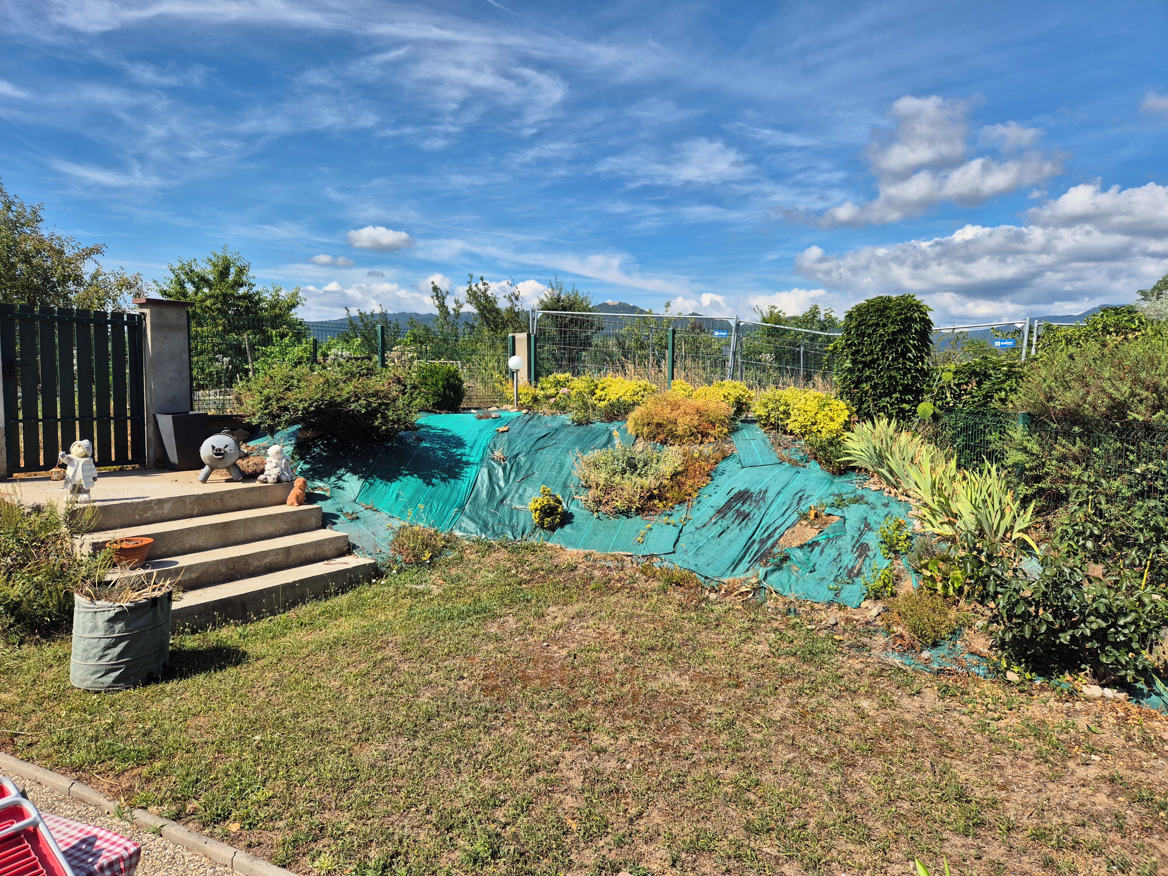Ein Garten mit einem kleinen Pool, Treppen, die hinaufführen, und einem eingezäunten Bereich mit verschiedenen Pflanzen.