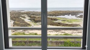 Vista attraverso una finestra con ringhiera metallica, su una costa rocciosa con piccole zone sabbiose e vegetazione rada.