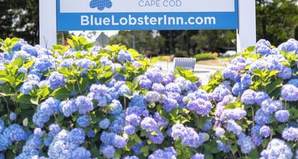 Blue Lobster Inn