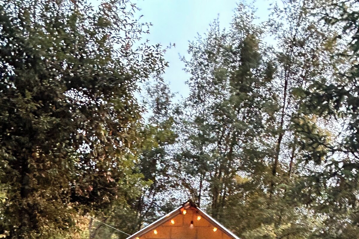 Cabin dành cho gia đình, sân hiên, quang cảnh núi | Chăn bông, truy cập Internet không dây miễn phí, bộ trải giường 