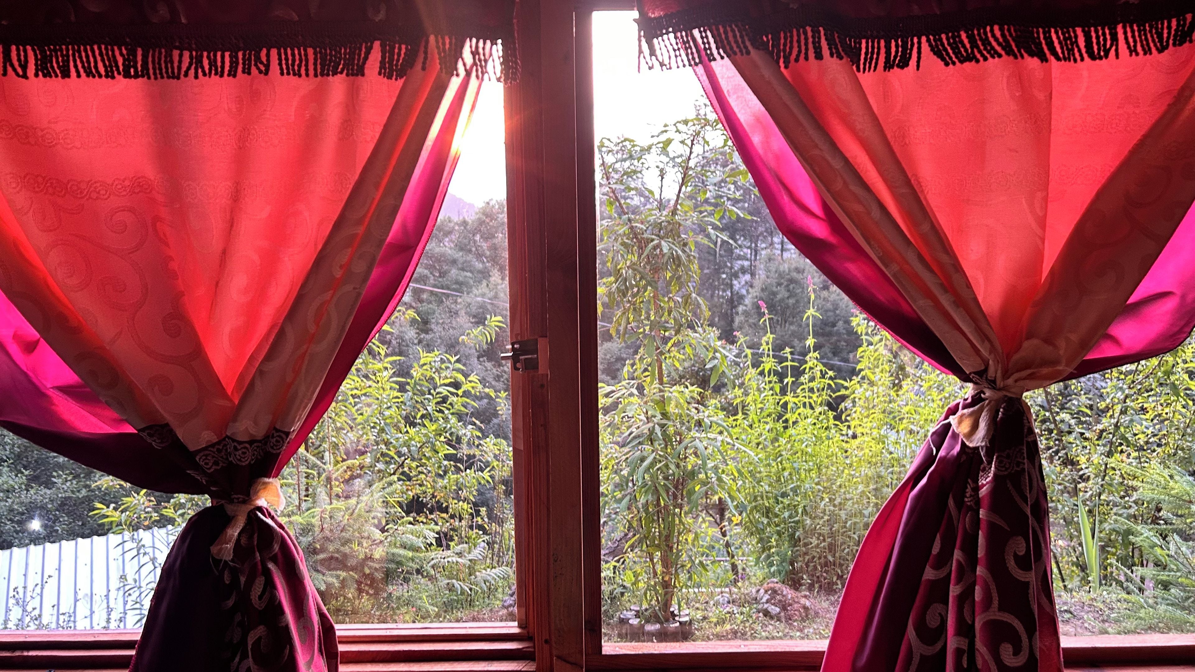 A window with curtains tied at the top, a wooden frame, and a view of greenery outside.