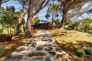 Un sendero de piedra conduce a una cabaña de madera rodeada de árboles.