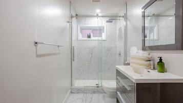 A modern bathroom with a glass shower enclosure, a toilet, and a vanity with a mirror.
