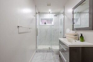 A modern bathroom with a glass shower enclosure, a toilet, and a vanity with a mirror.