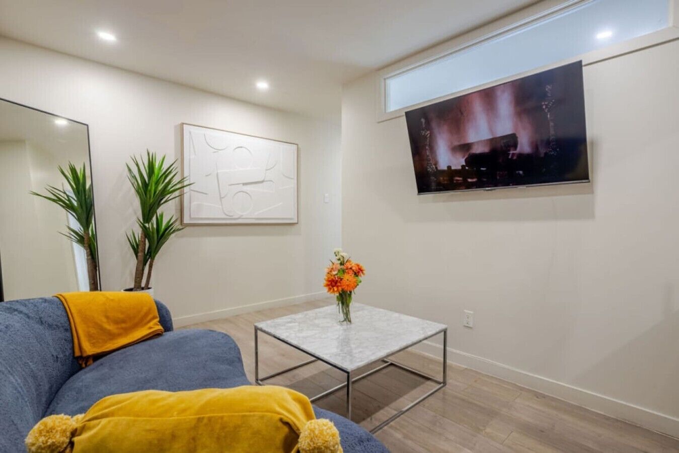 TV