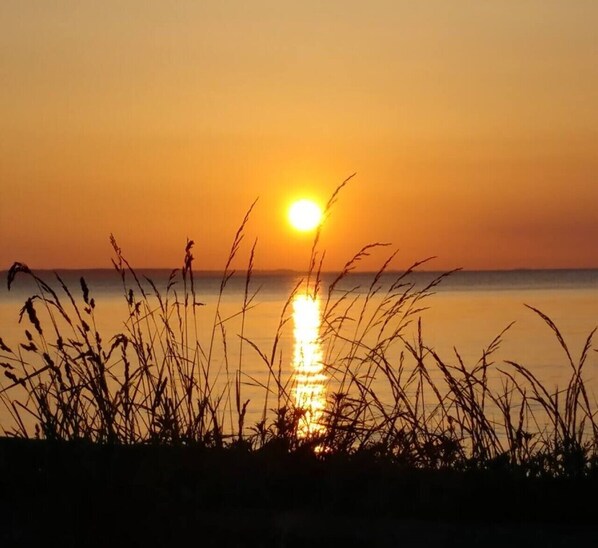 A sunset over a calm body of water with grasses in the foreground.