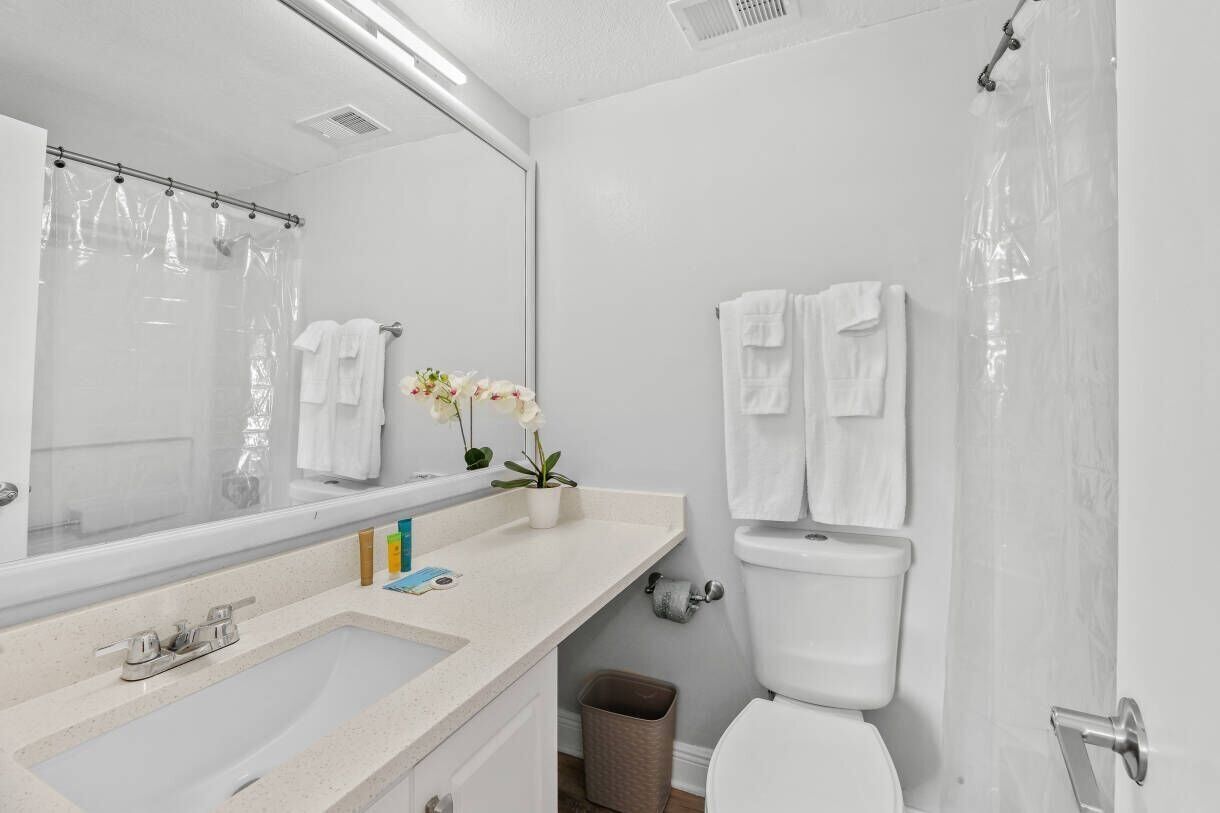 A bathroom with a sink, mirror, toilet, and shower curtain.