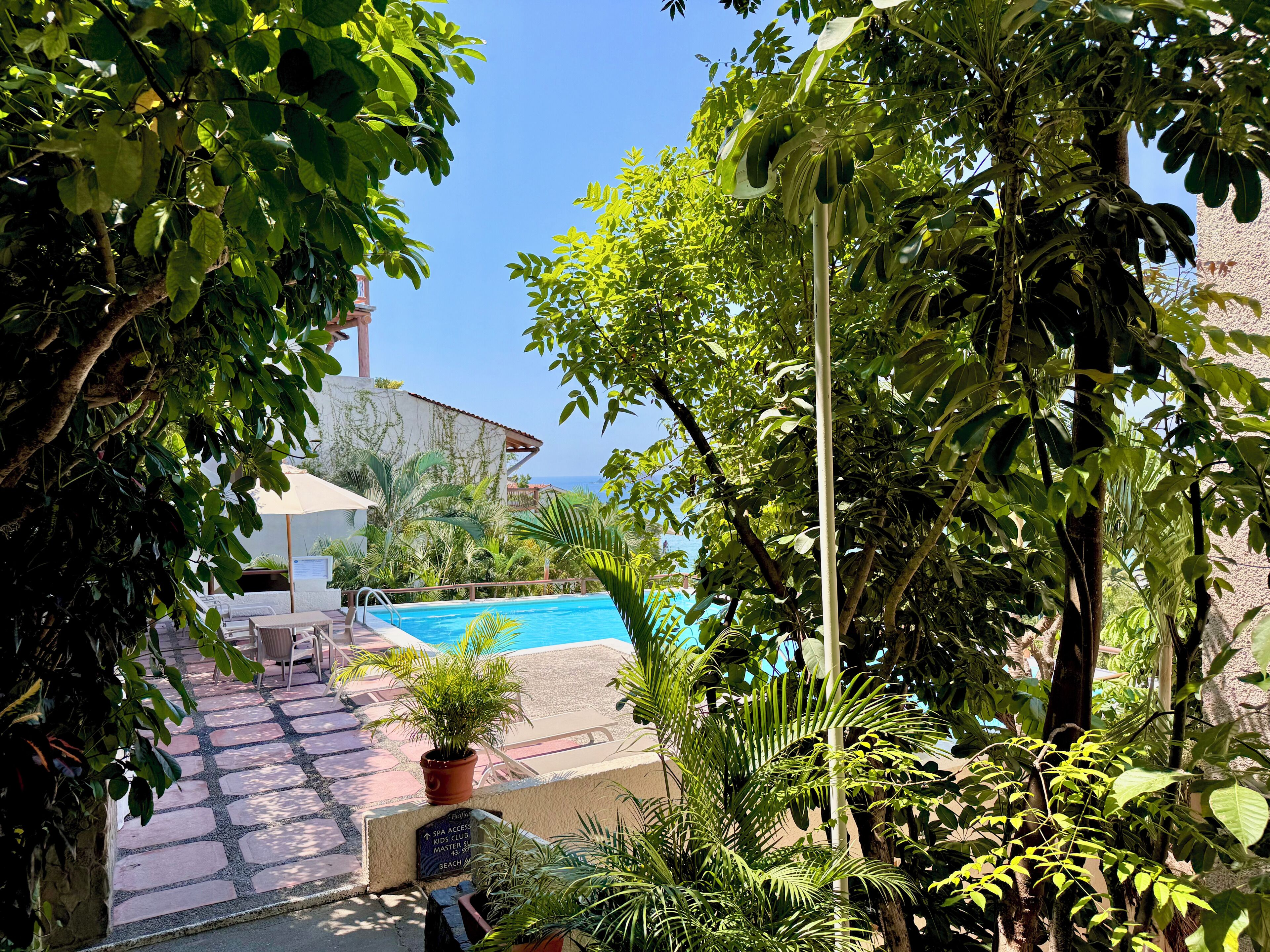 A pool area with a clear view of the sea, surrounded by lush greenery and potted plants.