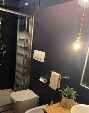 Douche, séchoir à cheveux, bidet, serviettes fournies