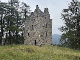 Ruinas de un castillo de piedra rodeado de árboles.