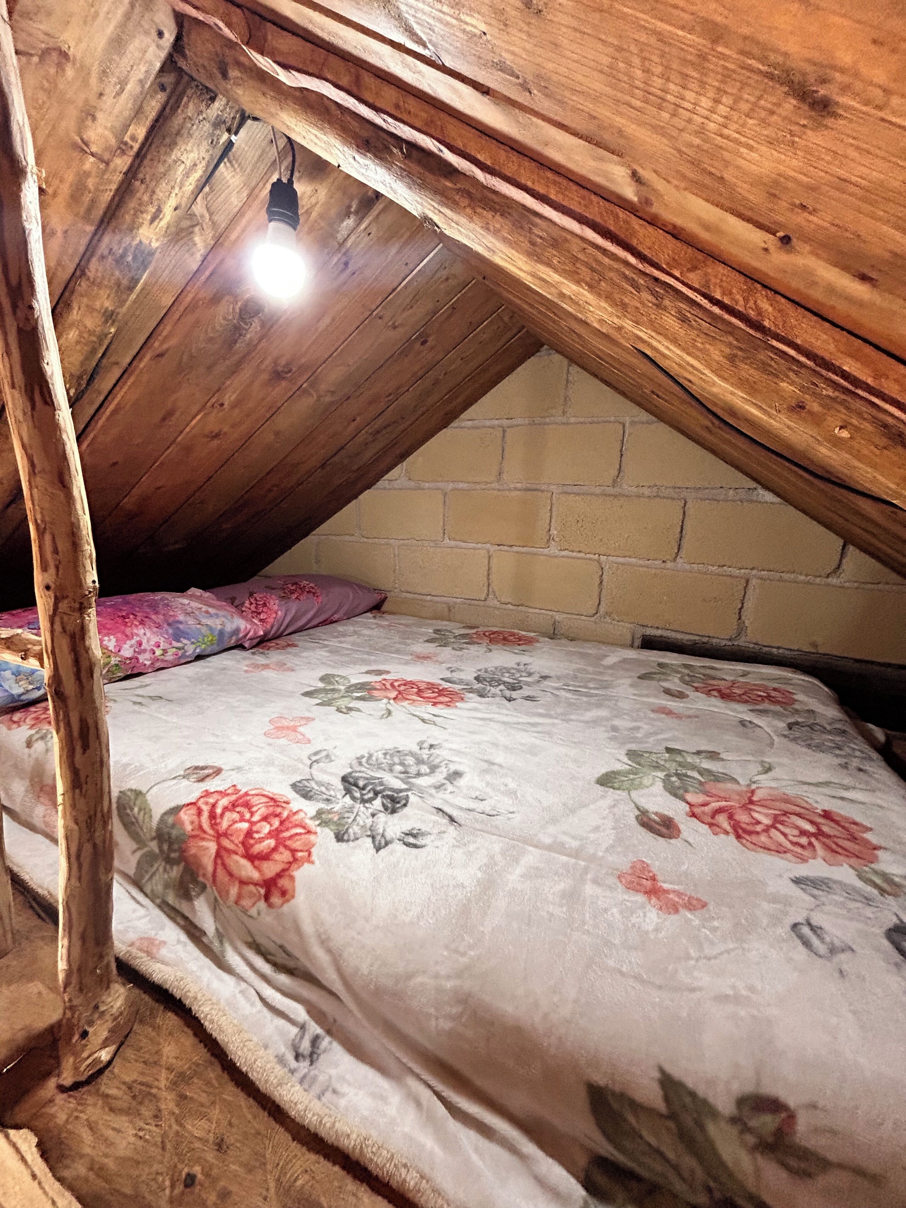 Family Room, Patio, Mountain View | Free WiFi