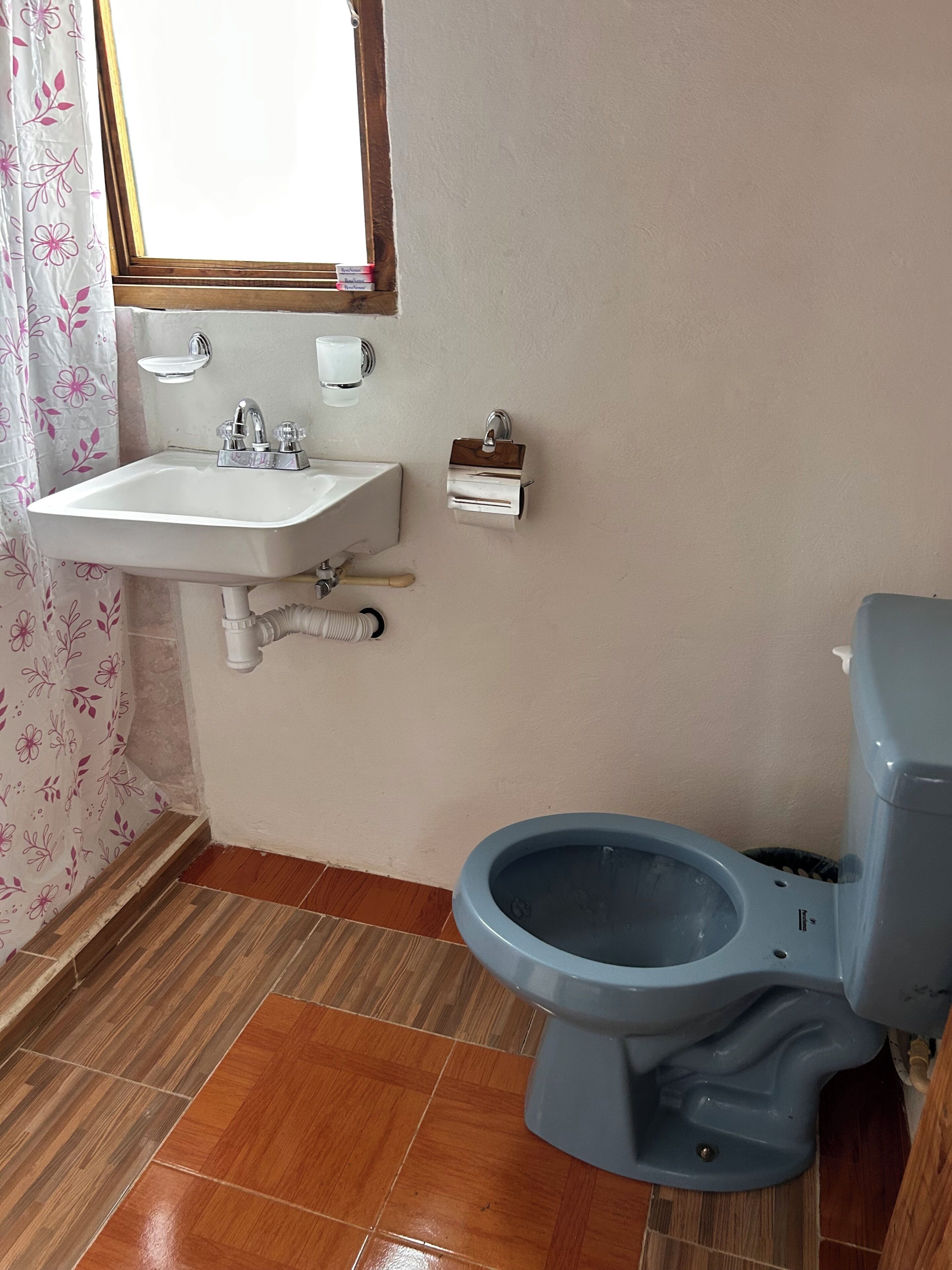 Traditional Room, Mountain View | Bathroom | Shower, towels, soap, shampoo
