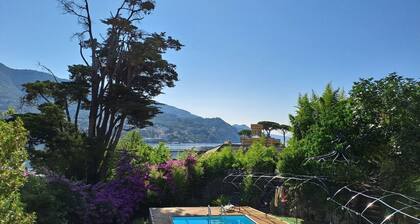 Villa with ocean views, large garden, close to the harbor, downtown, and the beach