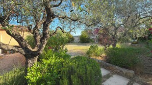 A garden with a tree, various plants, and a stone pathway.