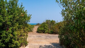 A paved pathway leading to a beach, surrounded by dense greenery. - Ottava Dimora Del Pizzo - Gallipoli (Gallipoli)