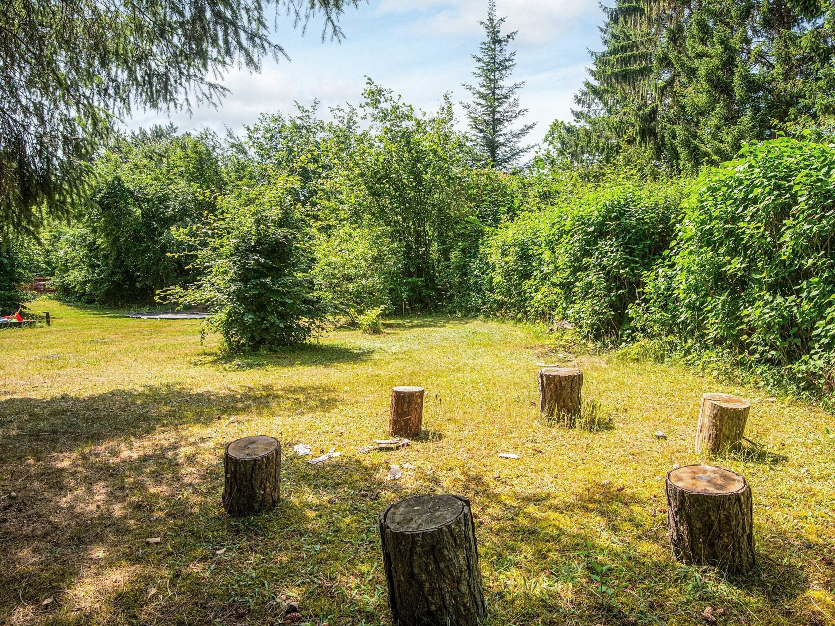 A grassy area with several wooden stumps and dense greenery.