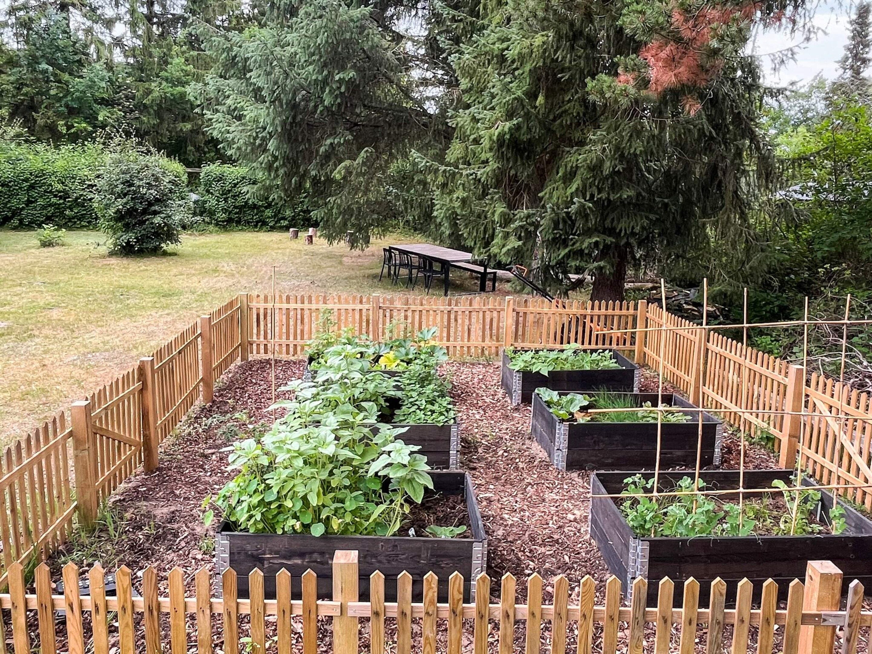 Un jardin avec des plates-bandes surélevées et une clôture en bois.