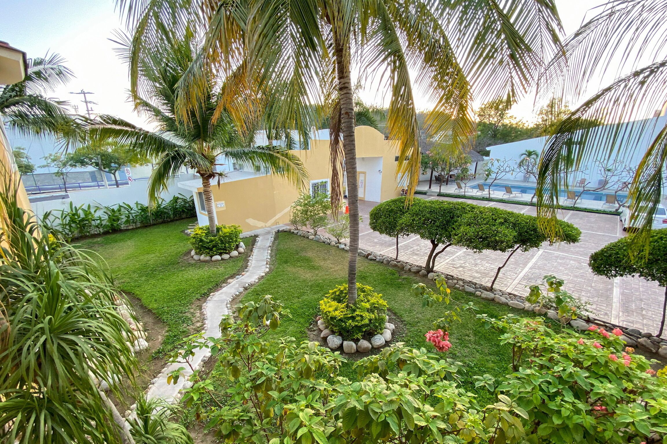 A landscaped garden with palm trees, a pathway, and a pool area.