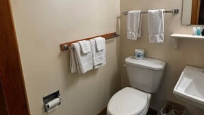 Un bagno con il water, un lavandino, uno specchio e un portasciugamani.