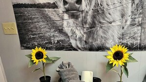 A room with a large bull painting on the wall, a grey dresser with two potted sunflowers, and a basket with towels. - Private Lakefront Retreat - Fishing, Game Room - Lake Colorado City TX (Colorado City)