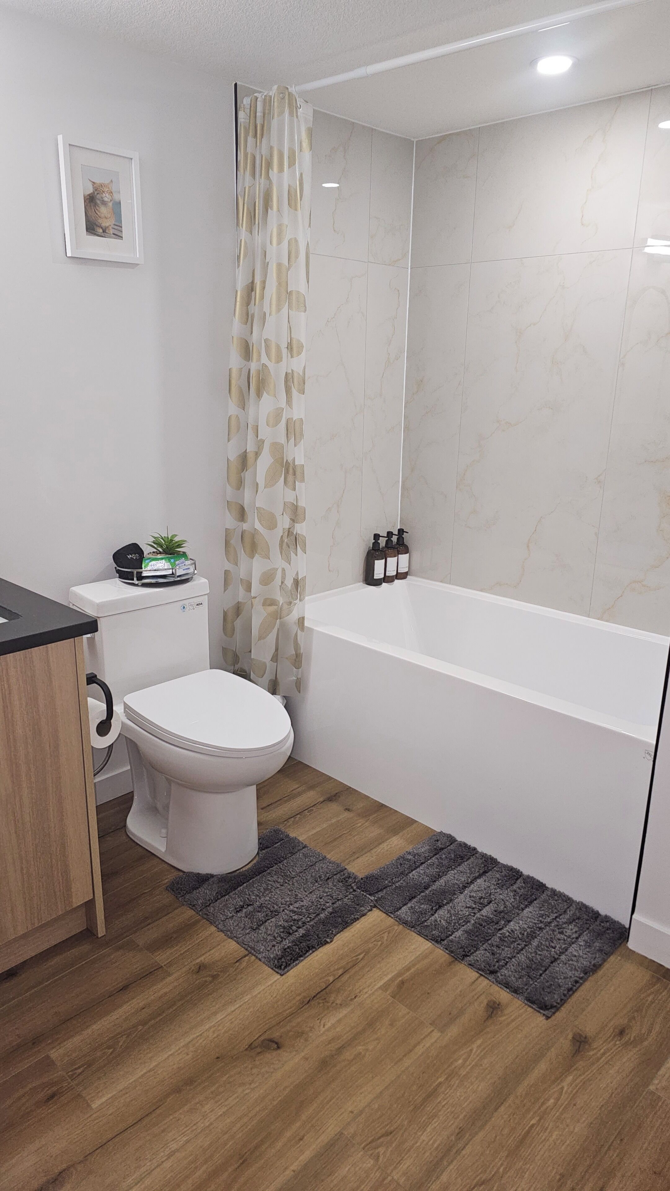 Hair dryer, towels, soap, toilet paper