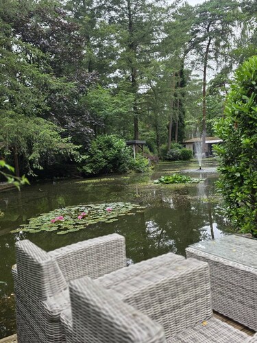 Wooded Pond Cottage in the Veluwe with a Swimming Pool!
