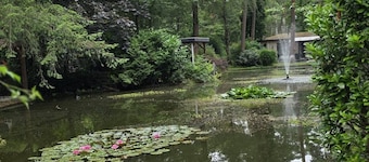 Wooded Pond Cottage in the Veluwe with a Swimming Pool!