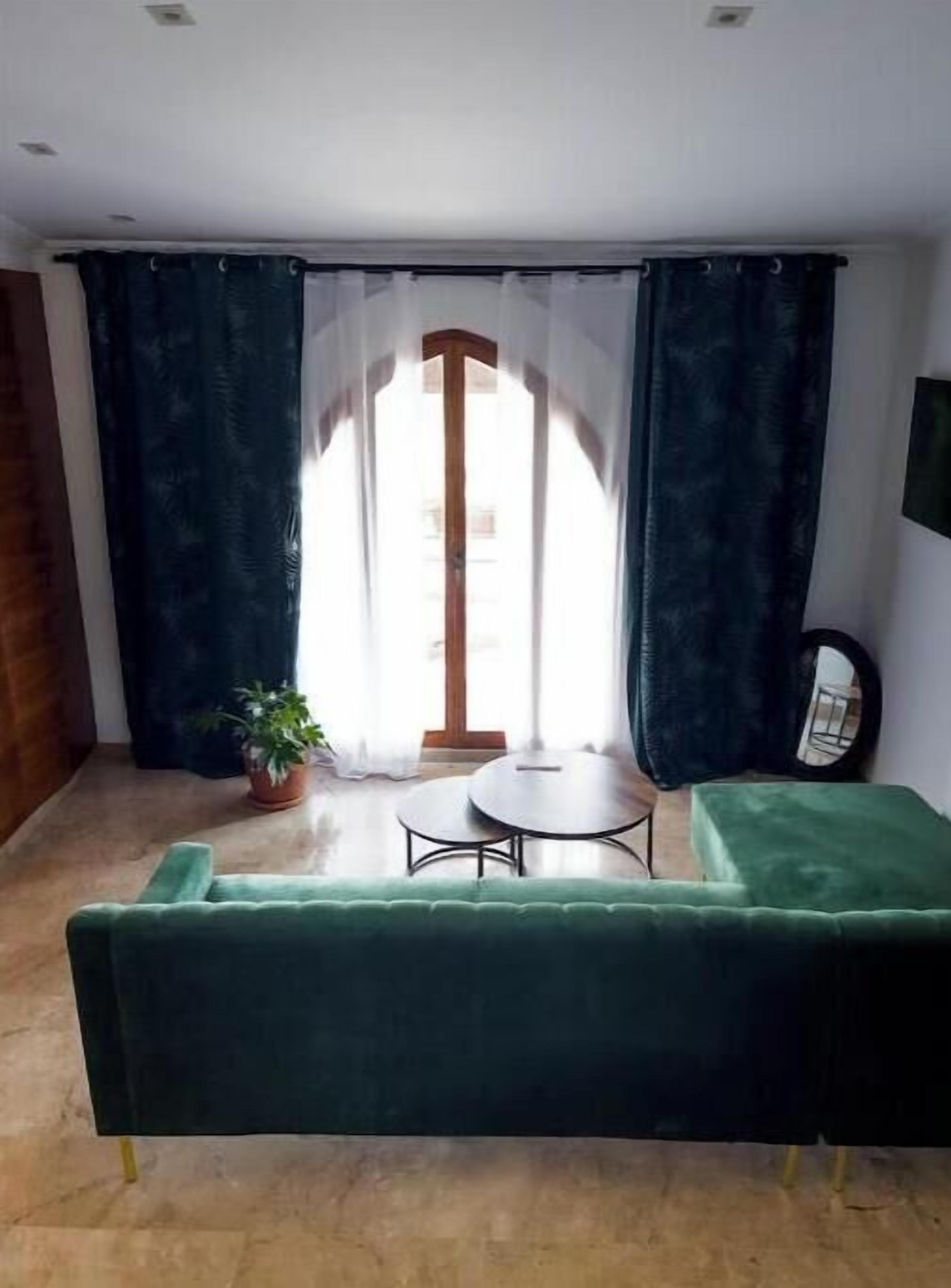 Une pièce avec un canapé vert, une petite table ronde et une plante en pot.