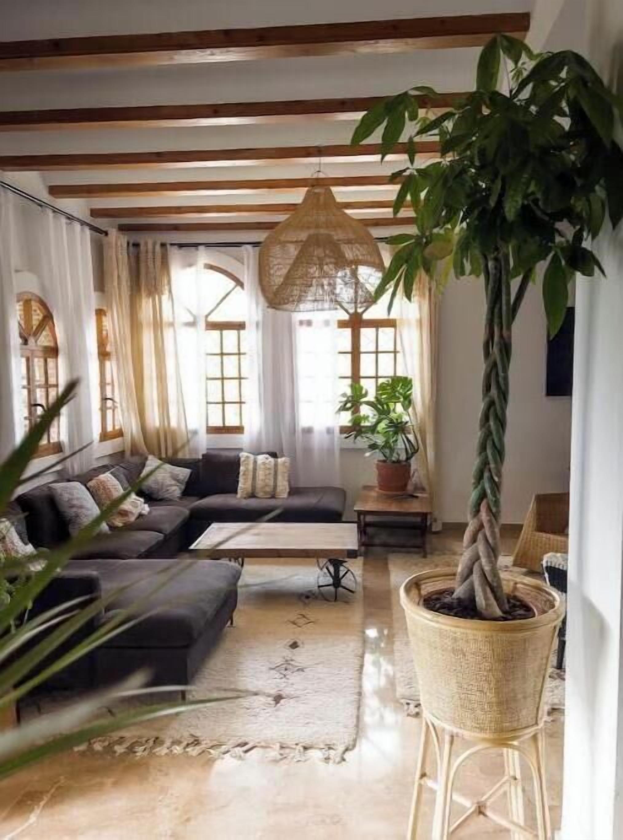 Un salon avec un canapé, une table basse, une plante en pot et un luminaire suspendu.