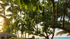 A stone pool surrounded by lounge chairs, a stone wall, and tropical foliage. - Ocean View 1BR Condo, Beach, Pool & Jacuzzi (Cabarete)