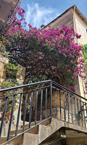 Property grounds - La Casa della Bouganvillea - Short-Term Rentals in Italy (Torrazza)