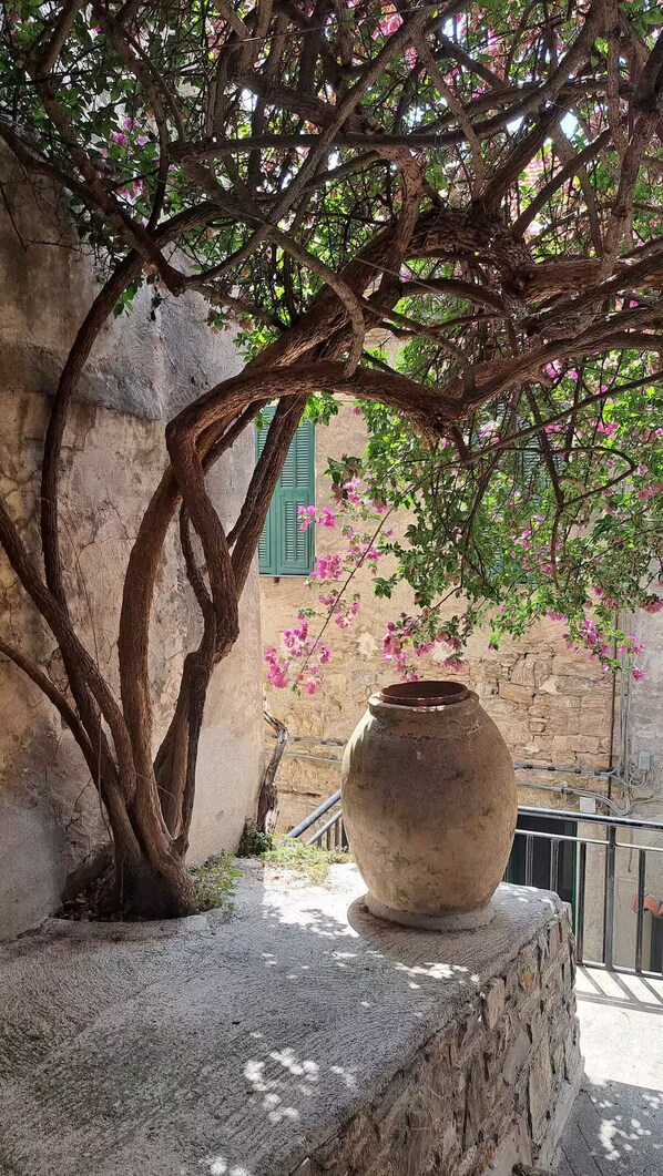 Property grounds - La Casa della Bouganvillea - Short-Term Rentals in Italy (Torrazza)