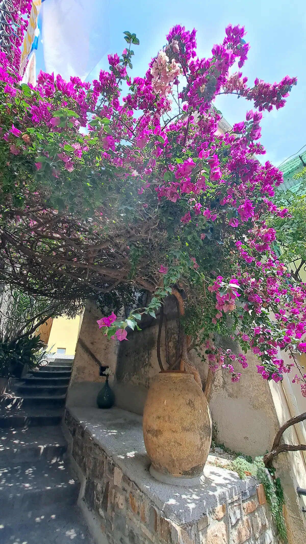 Eine Treppe führt zu einem Gebäude, vor dem sich ein großer, runder Steinkasten mit leuchtend rosa Blüten befindet.