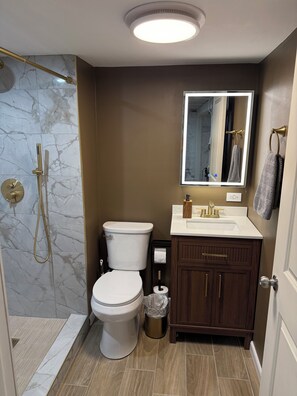 A bathroom with a shower, toilet, vanity, and a mirror. - Dreamy South Loop Getaway (Chicago)