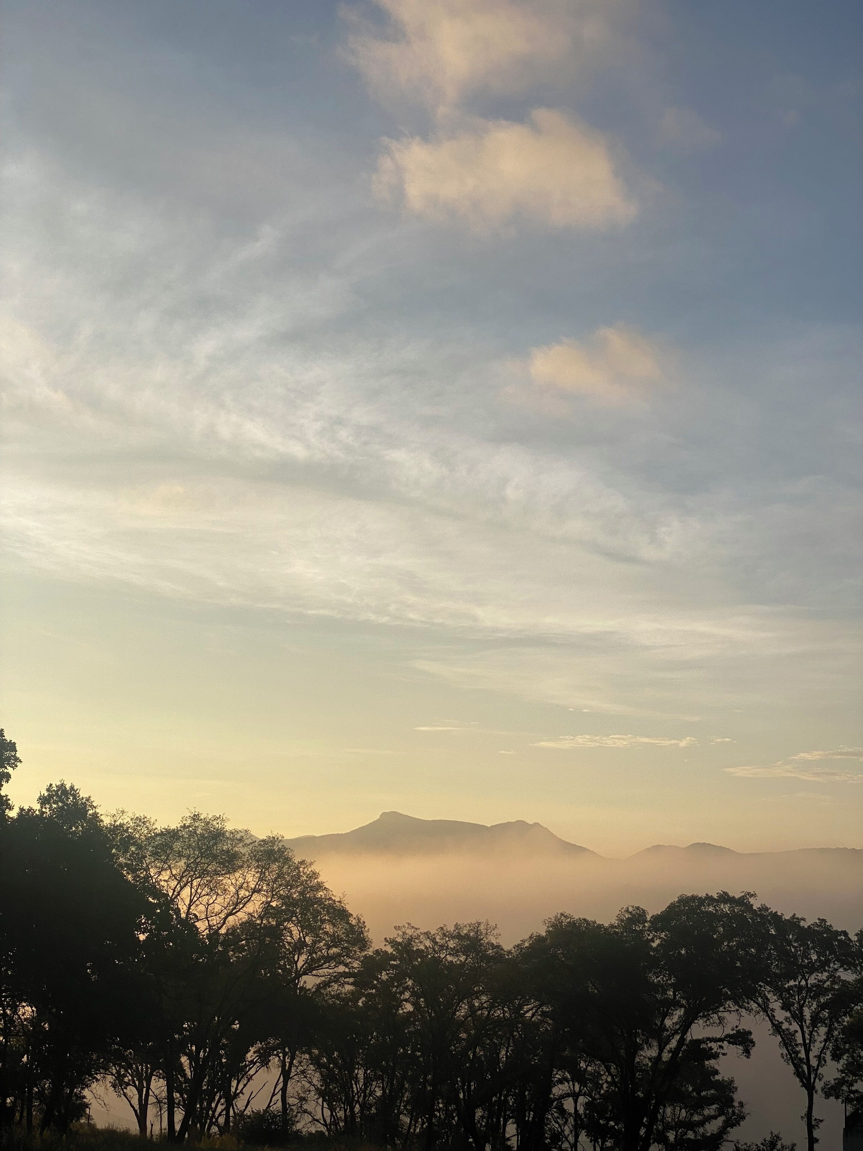 Paisaje con árboles y montañas bajo un cielo nublado.