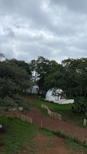 Exterior - GlampingWoodzen  (Villa del Carbón)