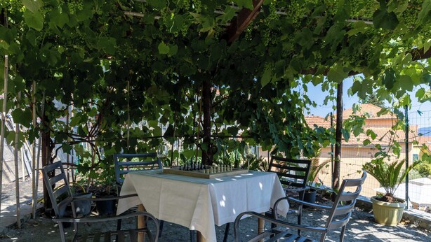 En uteservering med ett bord och stolar under en pergola som är täckt av vinrankor.