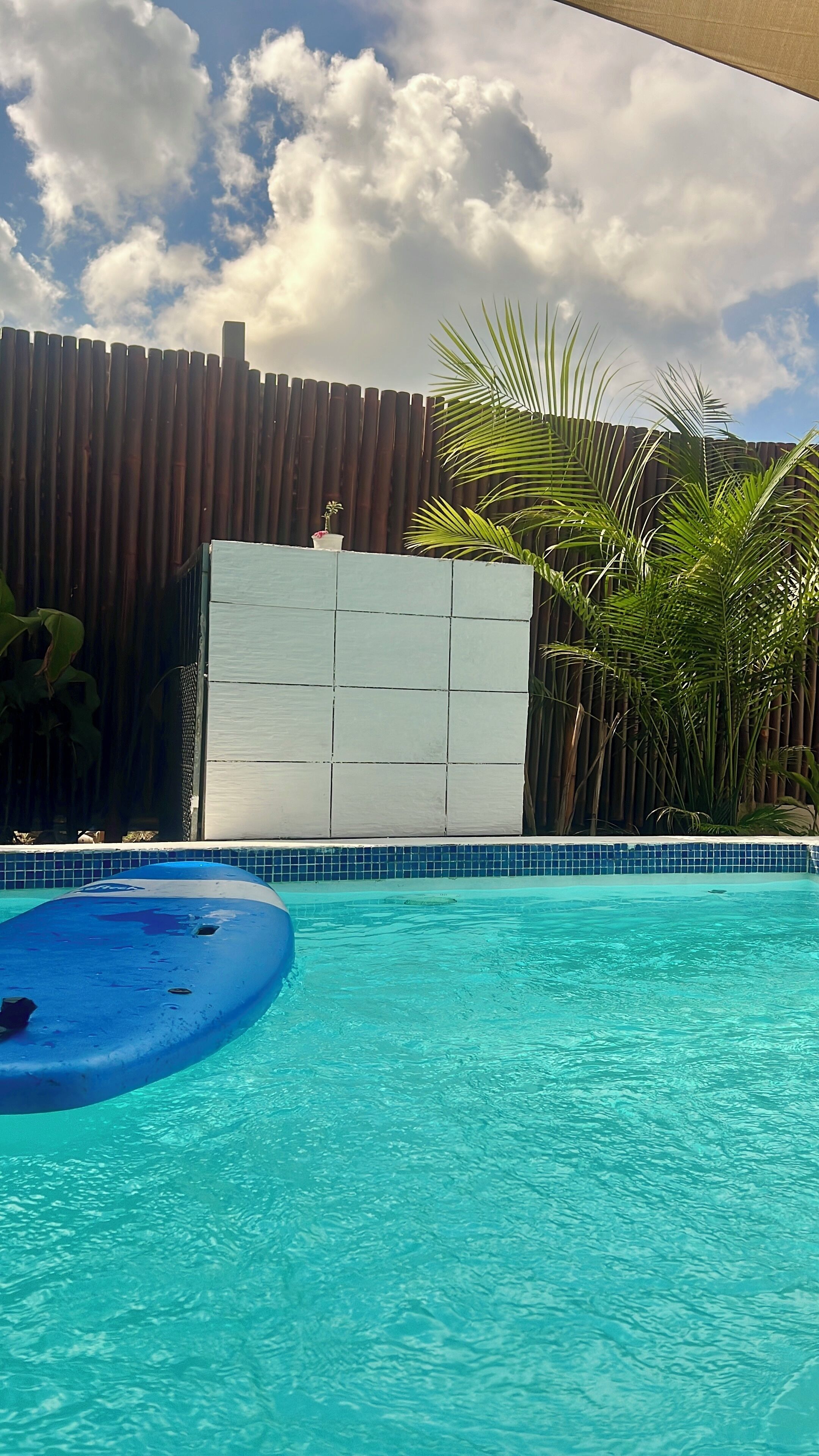 A swimming pool with clear water, surrounded by a wooden fence and tropical plants.