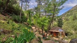 A rustic cabin nestled in a forested hillside with a stone pathway leading to it.