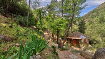 Superior Suite, River View | Property grounds