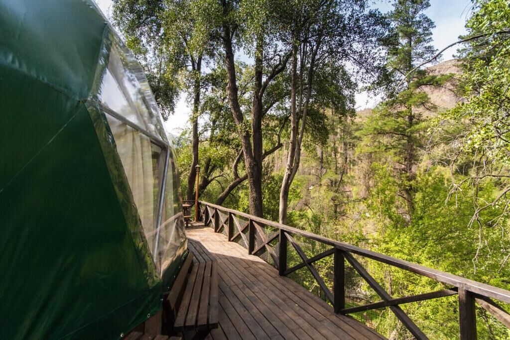 Um deck de madeira com guarda-corpo de metal, rodeado por árvores e uma tenda verde.