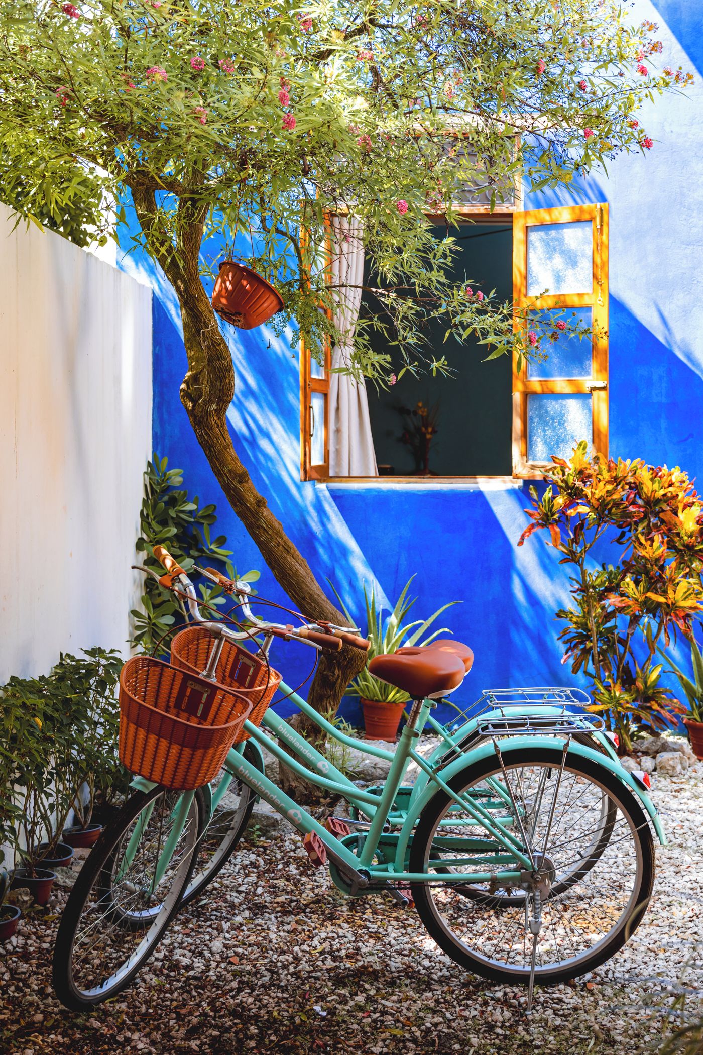 A turquoise bicycle with a basket and a brown seat parked under a tree with pink flowers.