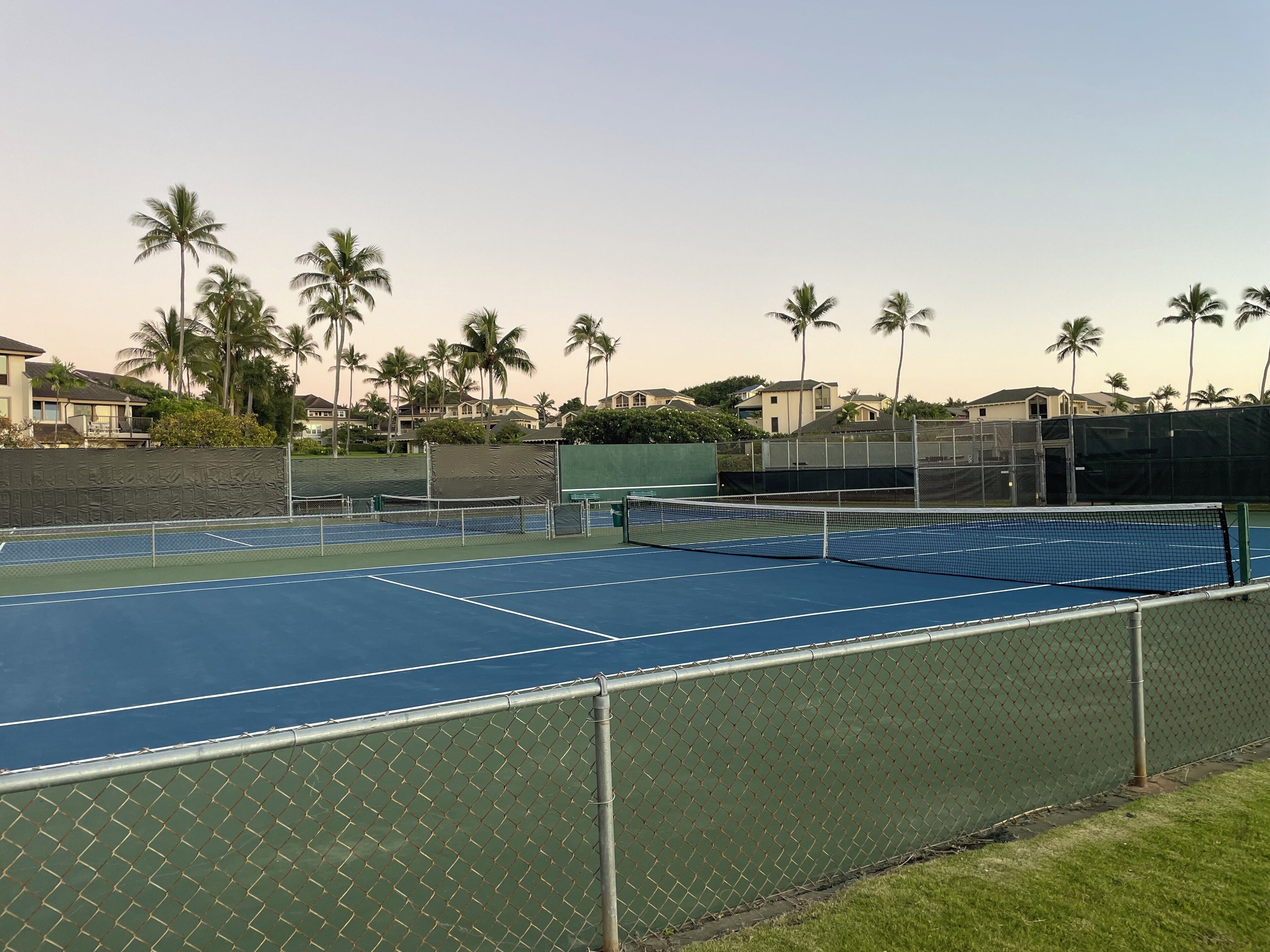 A tennis court with chain-link fencing, surrounded by palm trees and houses.