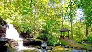 Una cascada, un pabellón y un área boscosa.