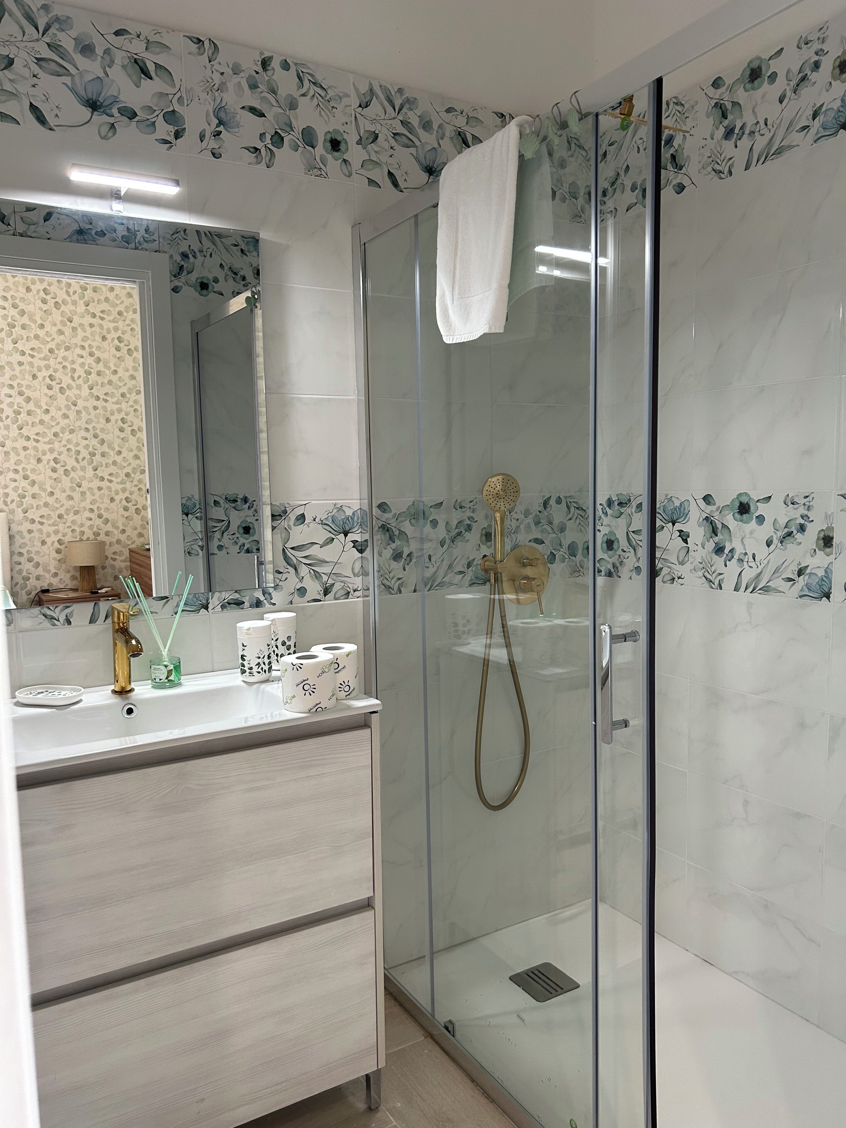 Shower, hair dryer, bidet, towels