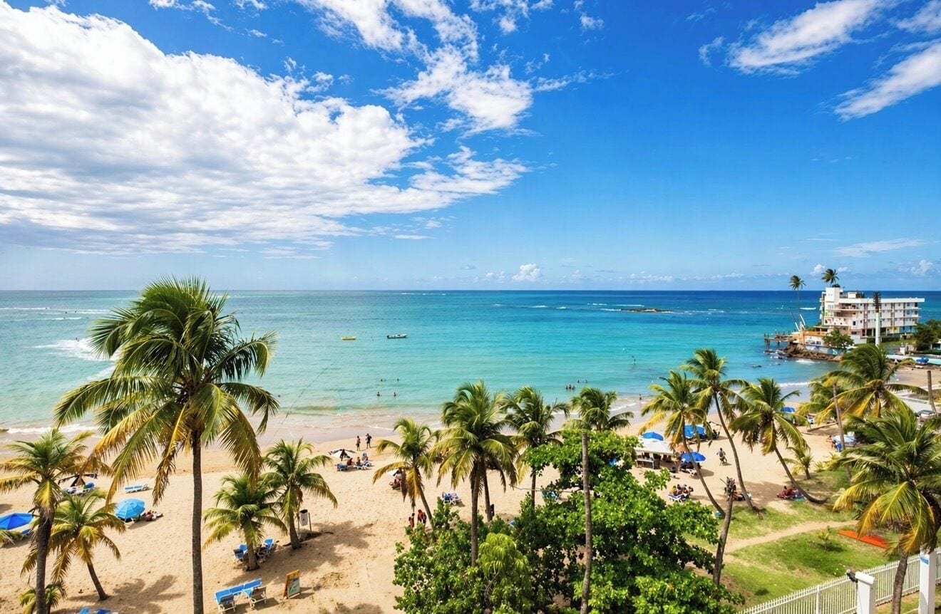 A beach with palm trees, a clear sky, and a view of the ocean.