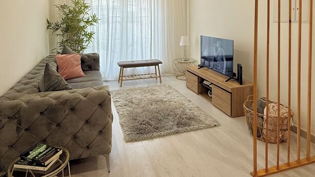 Een moderne woonkamer met een bank, een lange bank, een televisie, een plant en een houten scheidingswand.